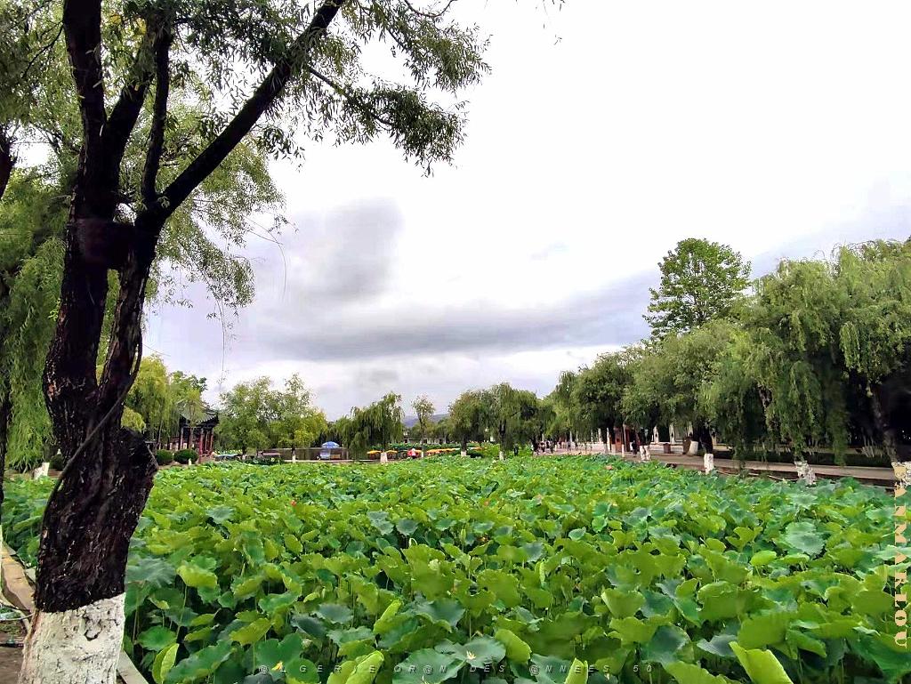 KUNMING - Parc Daguan - 09.jpg